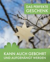 Stern aus Holz zum Bemalen – Typ 1, Größe wählbar 10–60 cm