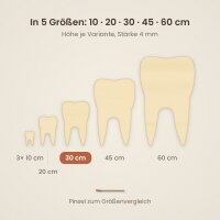 Zahn aus Holz zum Bemalen – 30 cm, 4 mm stark