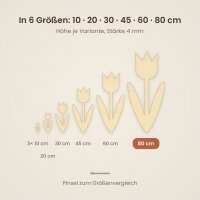 80cm