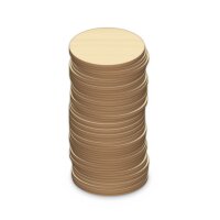 Holzkreise zum Bemalen – 50er-Set, je 10 cm, Pappelsperrholz 4 mm