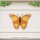Schmetterling aus Holz zum Bemalen – Typ 2, 30 cm, 4 mm stark