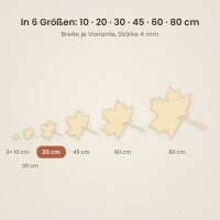 30cm