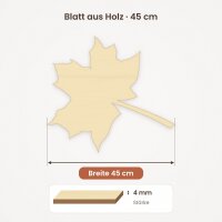 45cm