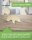 Schwan aus Holz zum Bemalen – 33 cm, 4 mm stark