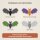 Halloween Fledermaus aus Holz zum Bemalen, Pappelsperrholz 4 mm